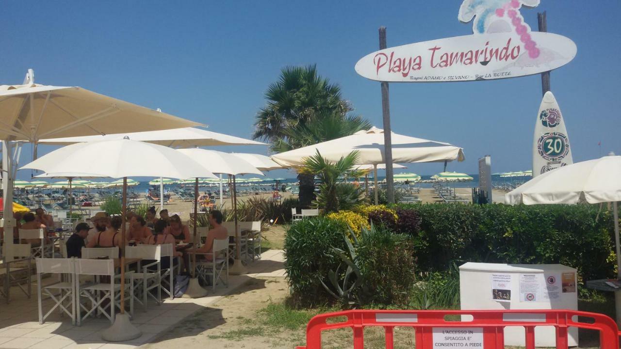 Domus Maris Viserba, Spiagge E Centro A 100 Mt, Promo Maggio Fiera Macfrut, Fieravicola, Expo Dental, Meeting Rimini Eksteriør bilde